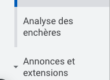 visualiser mes annonces Google Ads